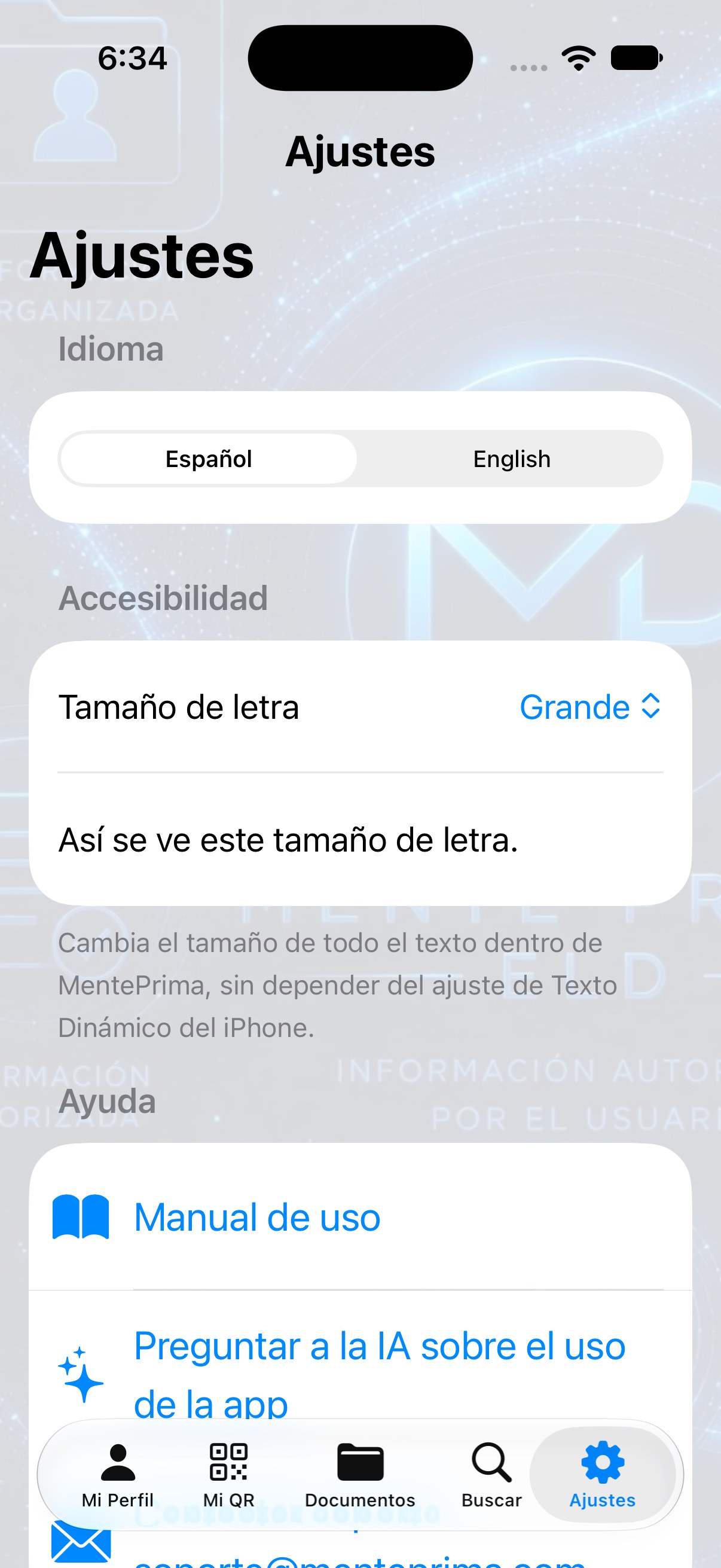 Ajustes — Idioma y accesibilidad